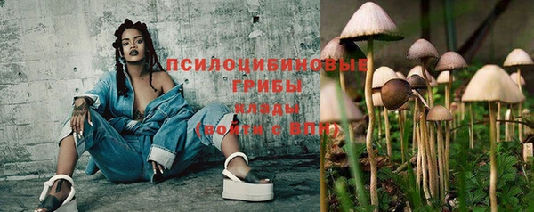 крисы Арсеньев