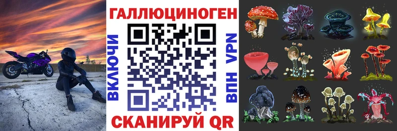 сайты даркнета наркотические препараты  наркошоп  Приморск  Галлюциногенные грибы GOLDEN TEACHER 